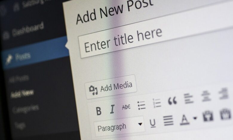 Solving Issues with WordPress Theme Installation